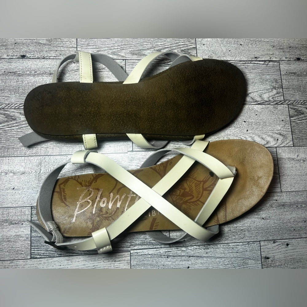 Woman’s blow fish flip flops Granola Flat Form Sandal